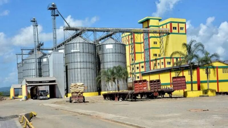 Inversión Millonaria en Factorías de Arroz en República Dominicana
