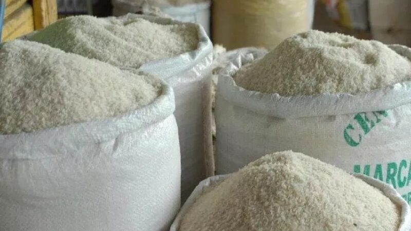 El Arroz: Pilar Fundamental en la Mesa Dominicana
