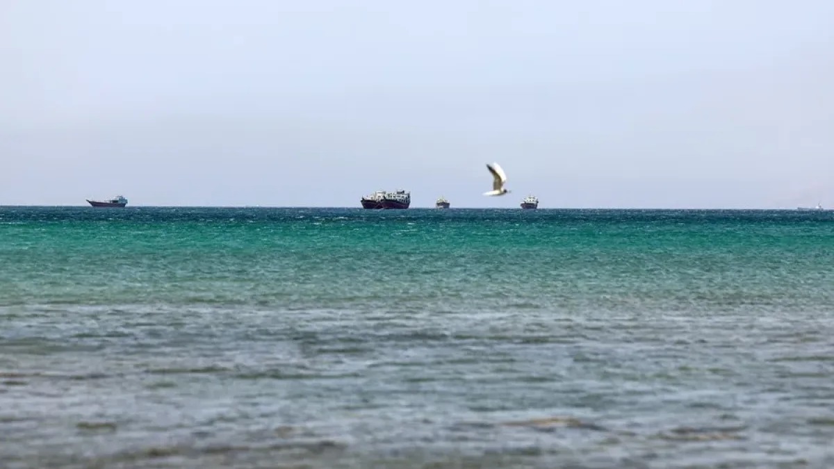 Tensión en el Golfo de Omán: EE.UU. ataca buque comercial con bandera panameña