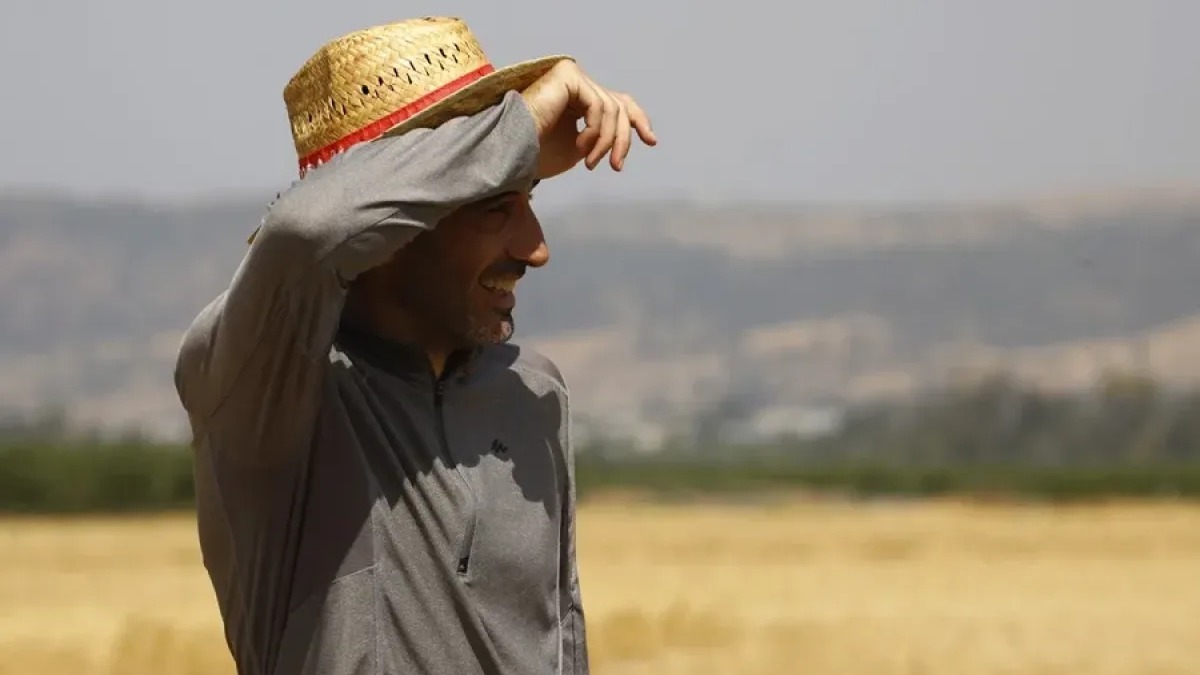 España Registra Récord de Muertes por Calor en el Verano de 2026