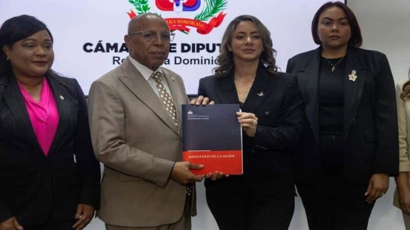 Ley Mirabal: Un Paso Decisivo Contra la Violencia Vicaria en República Dominicana