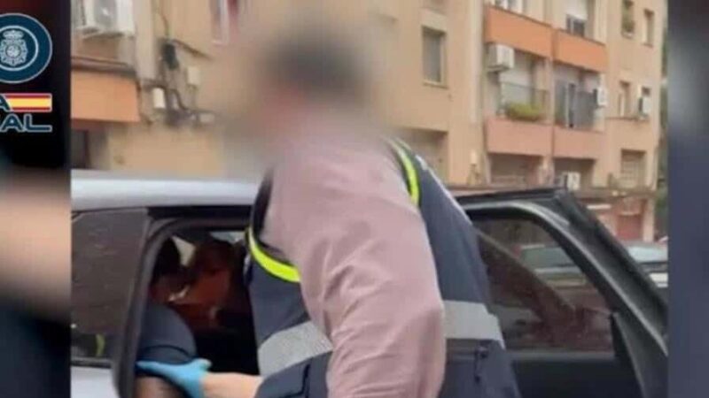 Desmantelan Red de Tráfico de Migrantes Dominicanos en Europa