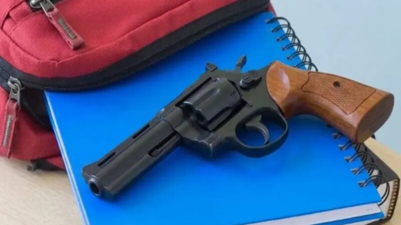 Incautan Seis Armas de Fuego en Escuelas Públicas de Nueva York