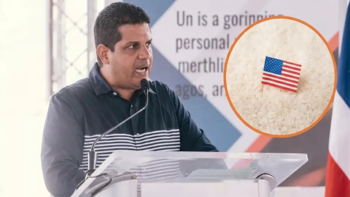 Arroceros advierten sobre impacto de eliminación de arancel al arroz importado