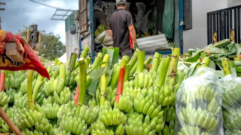 Impacto del Aumento de Combustibles en el Transporte de Alimentos en RD