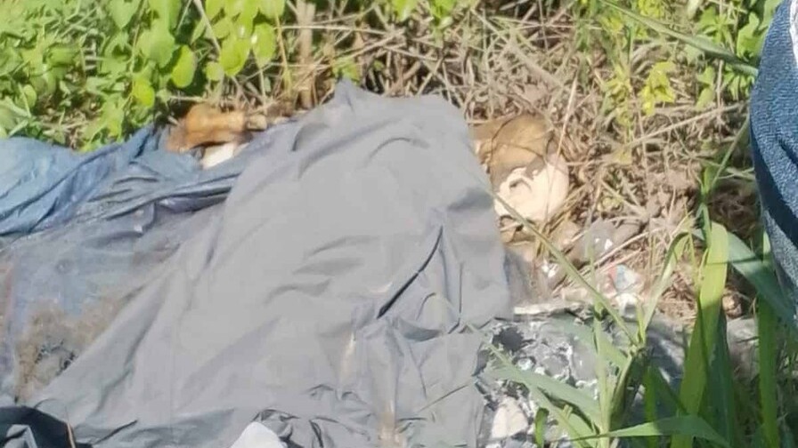 Descubrimiento de Restos Humanos en La Ciénega de Santiago