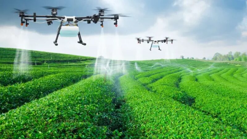 República Dominicana Fortalece Lazos Científicos con Italia en el Sector Agropecuario