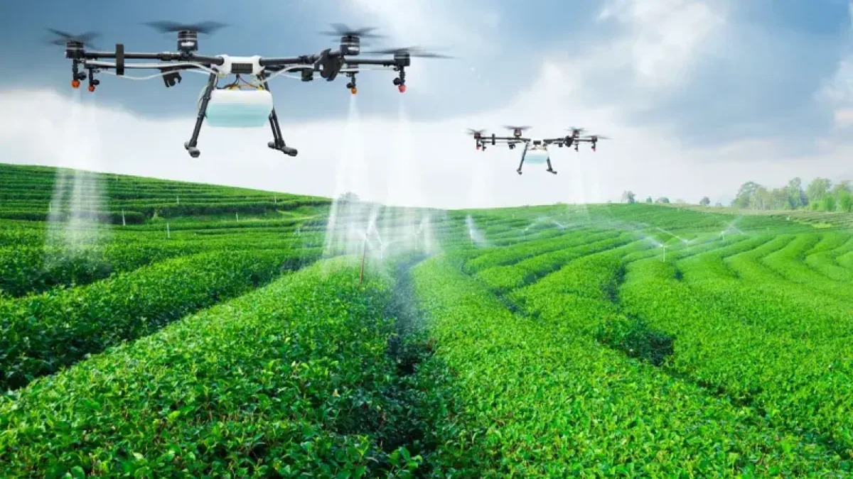 República Dominicana Fortalece Lazos Científicos con Italia en el Sector Agropecuario