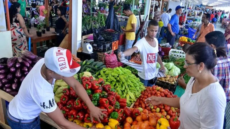 El Alto Costo de una Alimentación Saludable en República Dominicana