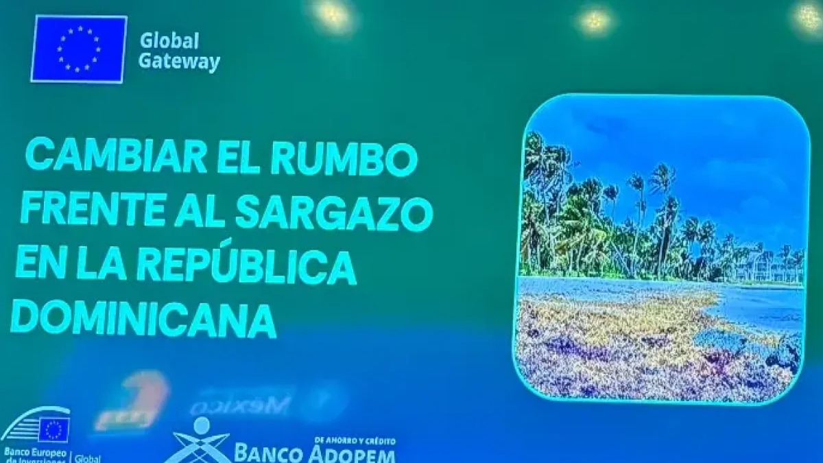 República Dominicana Transforma el Sargazo en Oportunidades Económicas con US$6.3 Millones