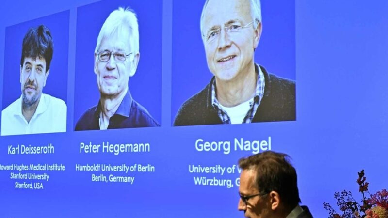 Pioneros de la Optogenética: Revolución en la Neurociencia