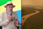 La Deforestación Global Disminuye en 2025, pero Persiste la Amenaza de El Niño