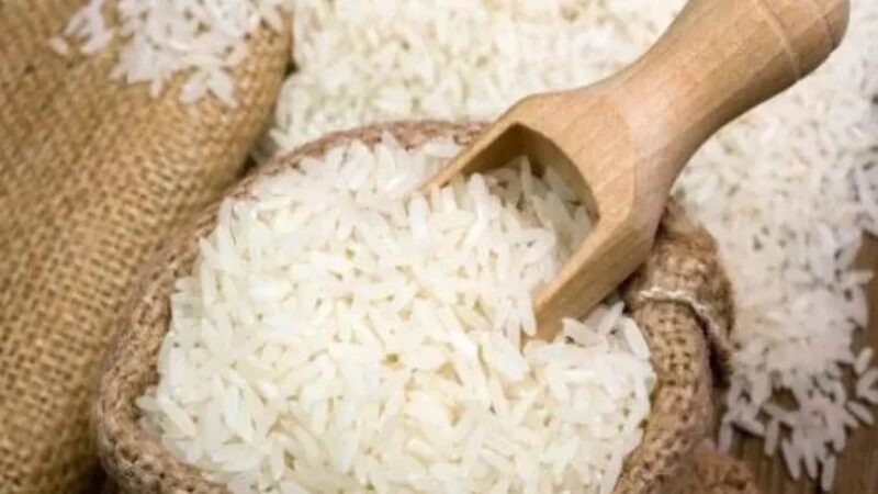 Propuestas Clave para Fortalecer la Producción de Arroz en República Dominicana