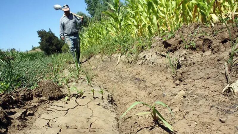 Santiago Rodríguez: La Provincia Más Afectada por la Sequía en República Dominicana