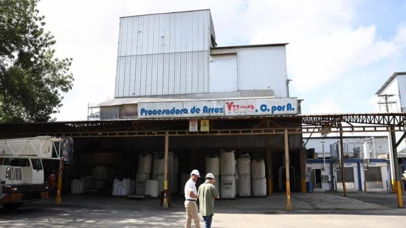 Arroz Dominicano: Innovación y Productividad como Claves del Futuro