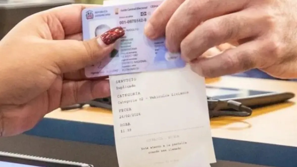Licencias Gratuitas para Adultos Mayores: Detalles y Fecha de Implementación