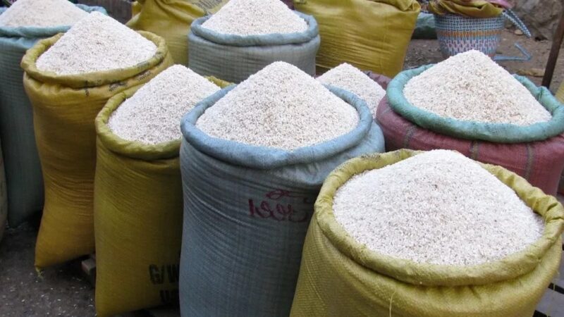 Junta Agropecuaria Apoya Iniciativas para Fortalecer Producción de Arroz en RD