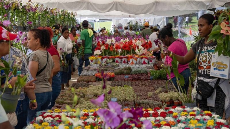Festival Nacional de Plantas y Flores: Un Encuentro con la Naturaleza en el Jardín Botánico