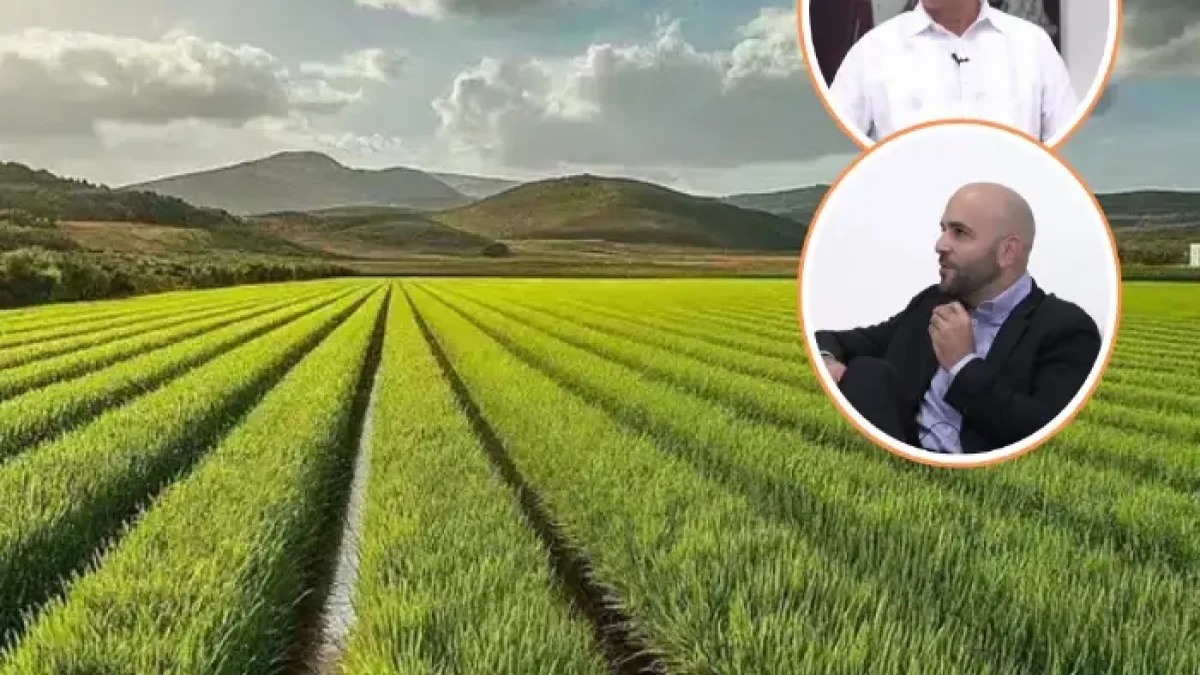 Arroceros Dominicanos Enfrentan Desafíos ante Liberalización del Arroz de EE. UU.