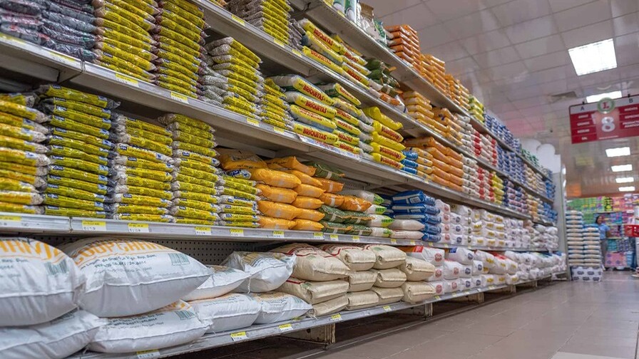 USA Rice Celebra Avances, pero Critica Licencias de Importación en RD