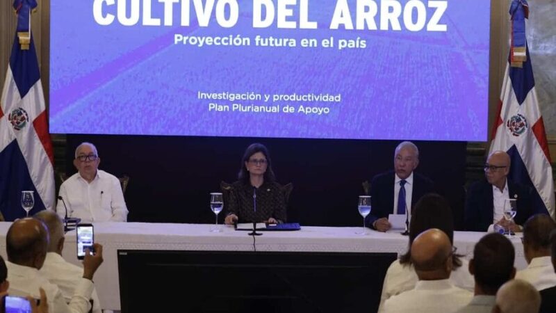 Gobierno Dominicano Anuncia Estrategias para Proteger el Sector Arrocero